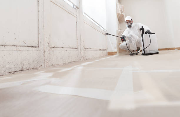 24/7 Emergency Mold Remediation experts in Forest Hill, TX