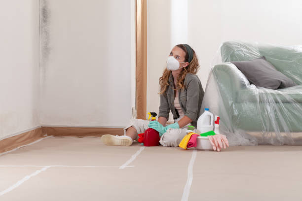 Reliable Mold Remediation contractor in Forest Hill, TX by Mold Remediation HQ